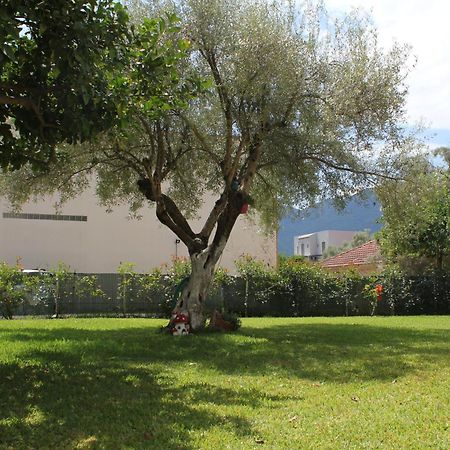 Holiday Lefkas Moonlight Luxury Appartments Nikiana Buitenkant foto