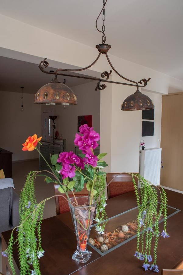 Holiday Lefkas Moonlight Luxury Appartments Nikiana Buitenkant foto
